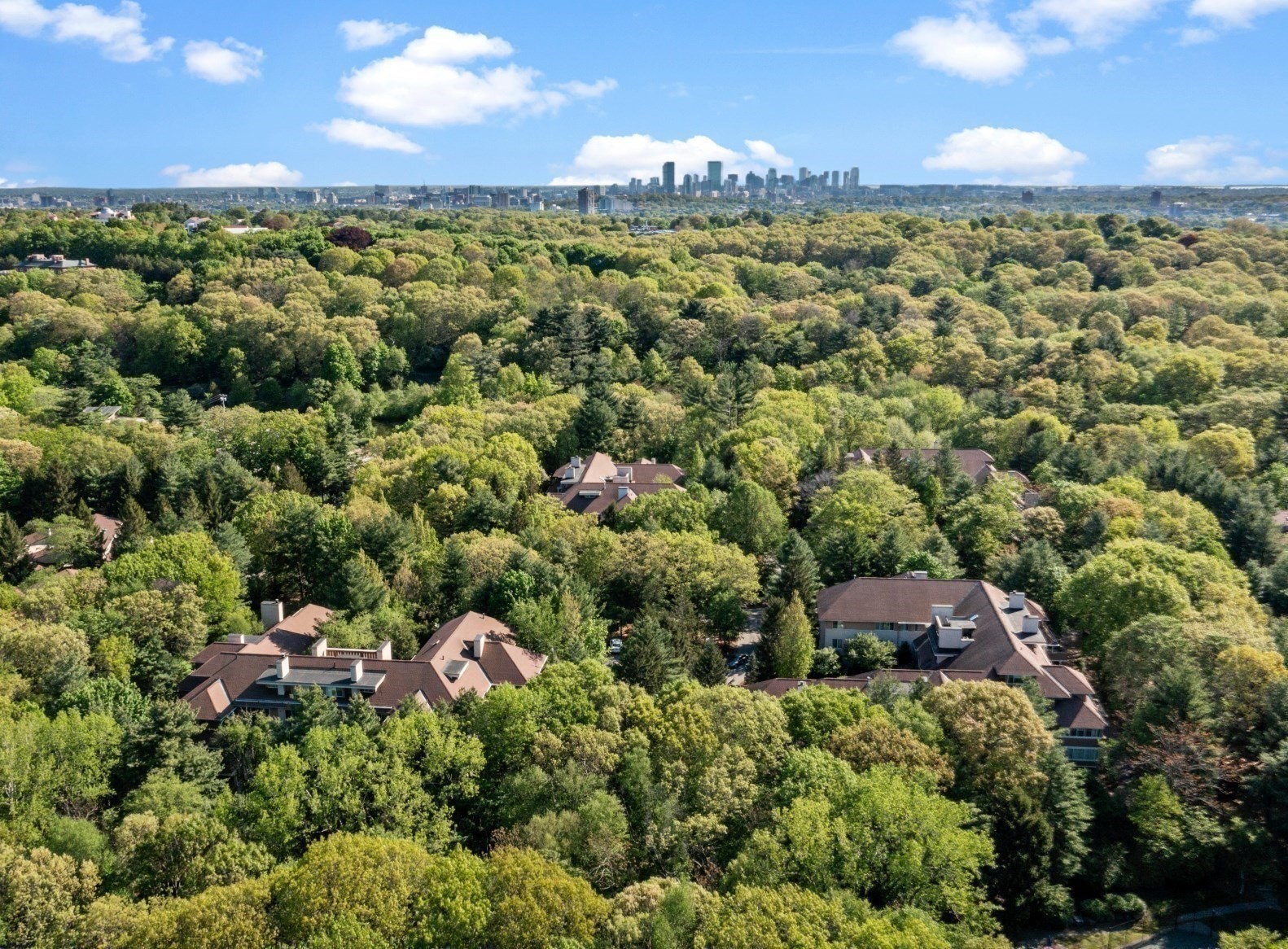 206 Allandale Road Unit 3C, West Roxbury, Boston, MA 02467 - Image 36