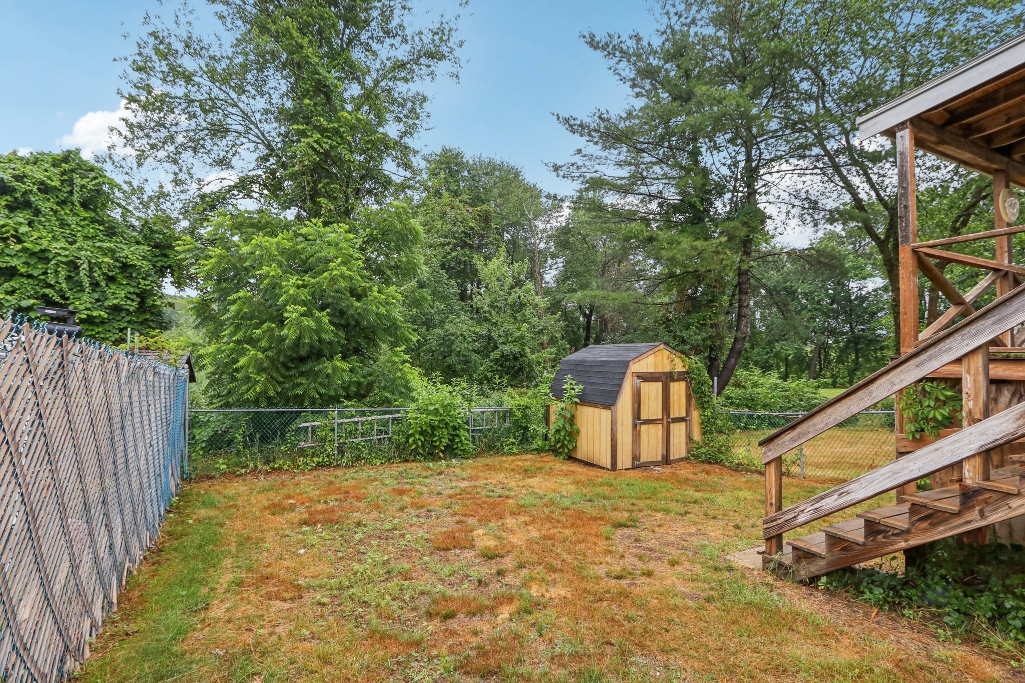 randolph - #73404185
