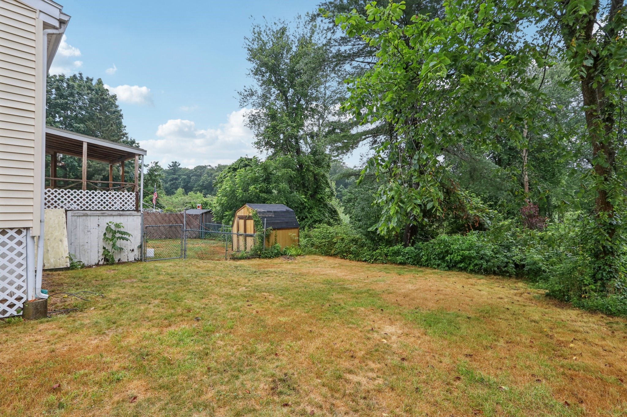 randolph - #73404185