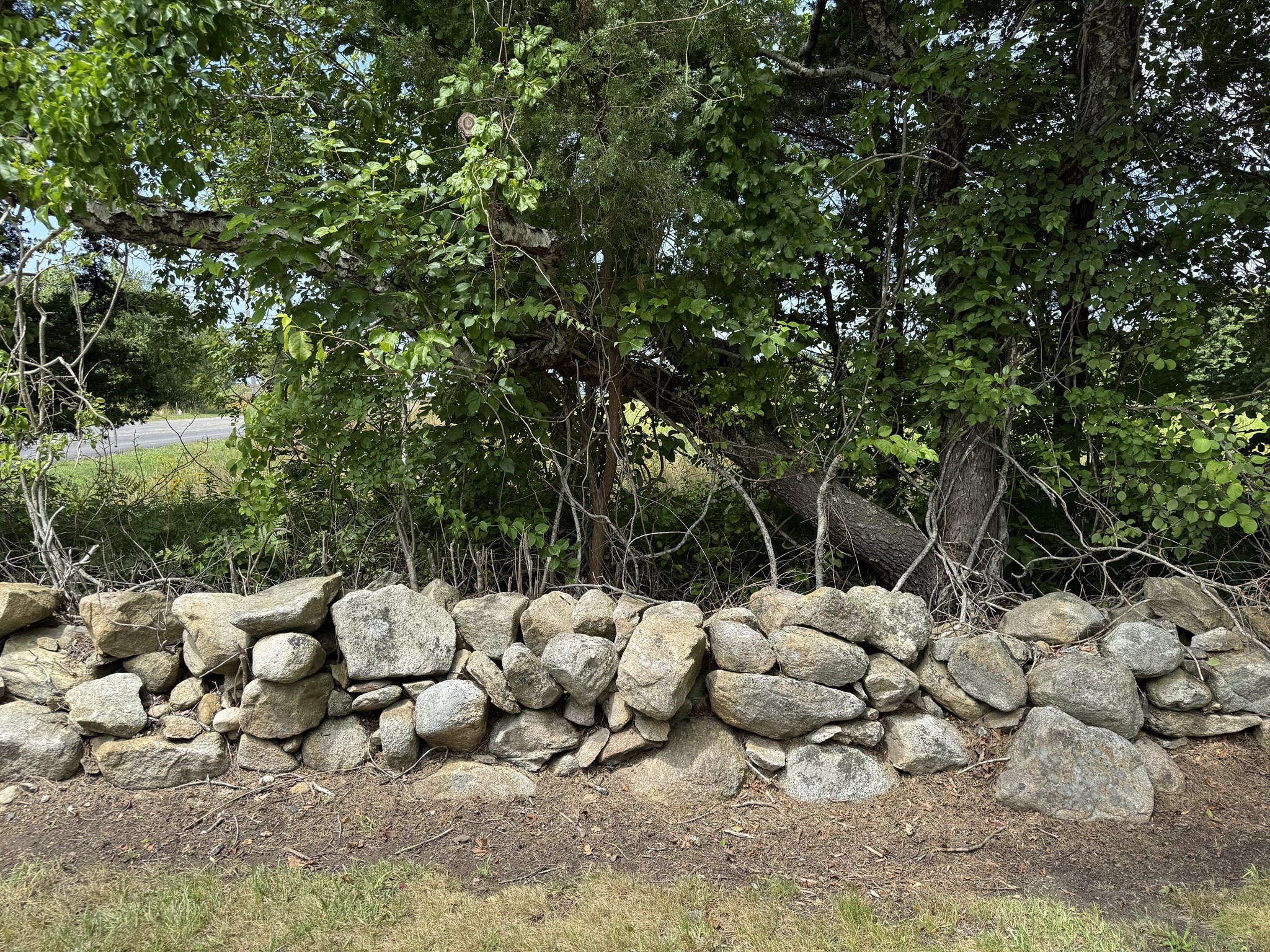 fairhaven - #73404307