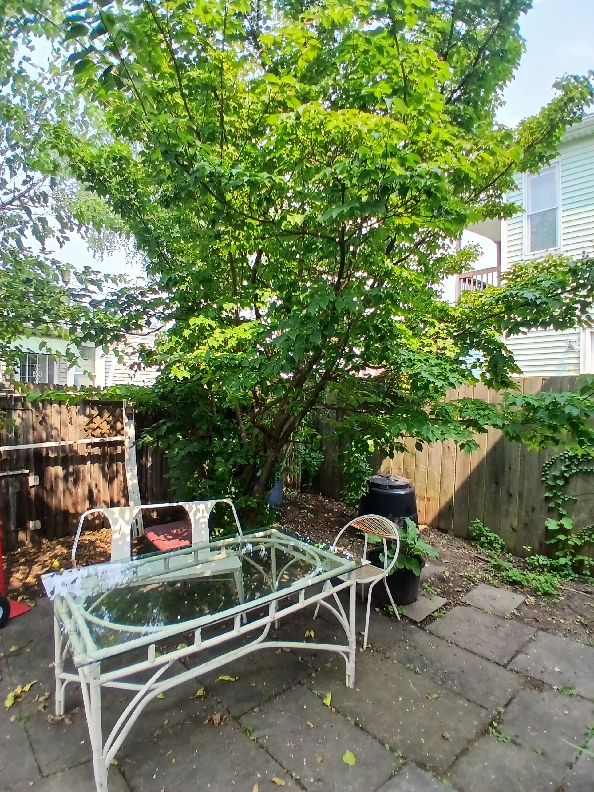 146 Beech St, Holyoke, MA 01040 - Image 21