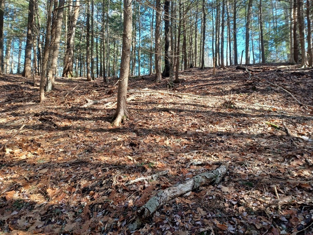 296 Northwest Road, Westhampton, MA 01027 - Image 1