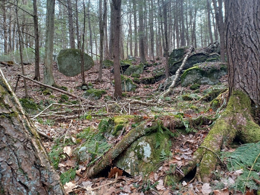 296 Northwest Road, Westhampton, MA 01027 - Image 2