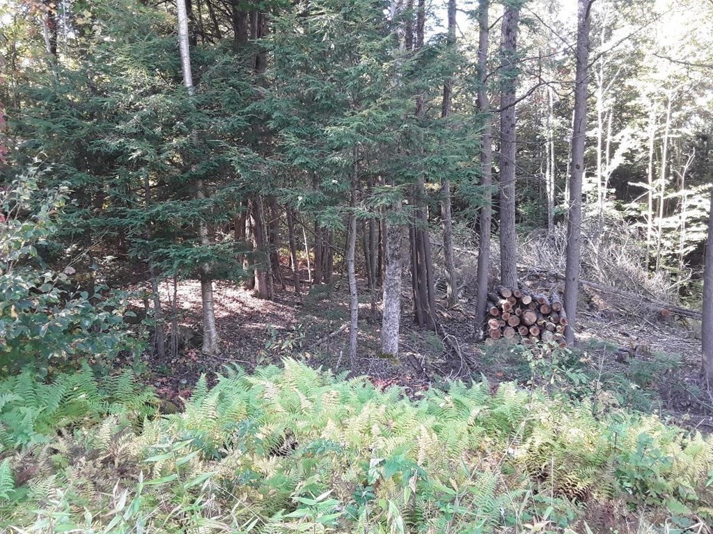 296 Northwest Road, Westhampton, MA 01027 - Image 11