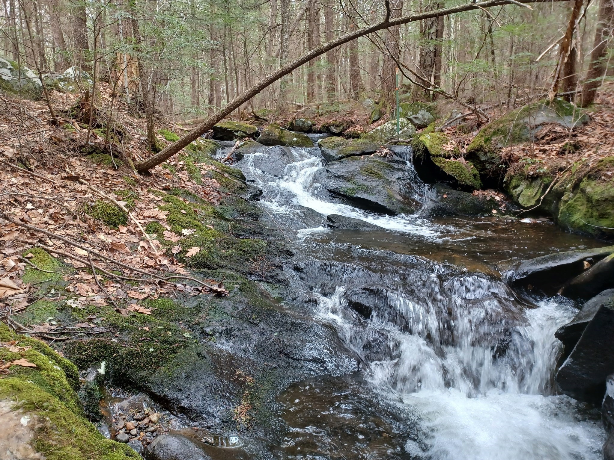 296 Northwest Road, Westhampton, MA 01027 - Image 13