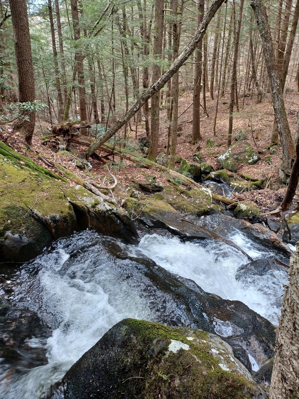 296 Northwest Road, Westhampton, MA 01027 - Image 14