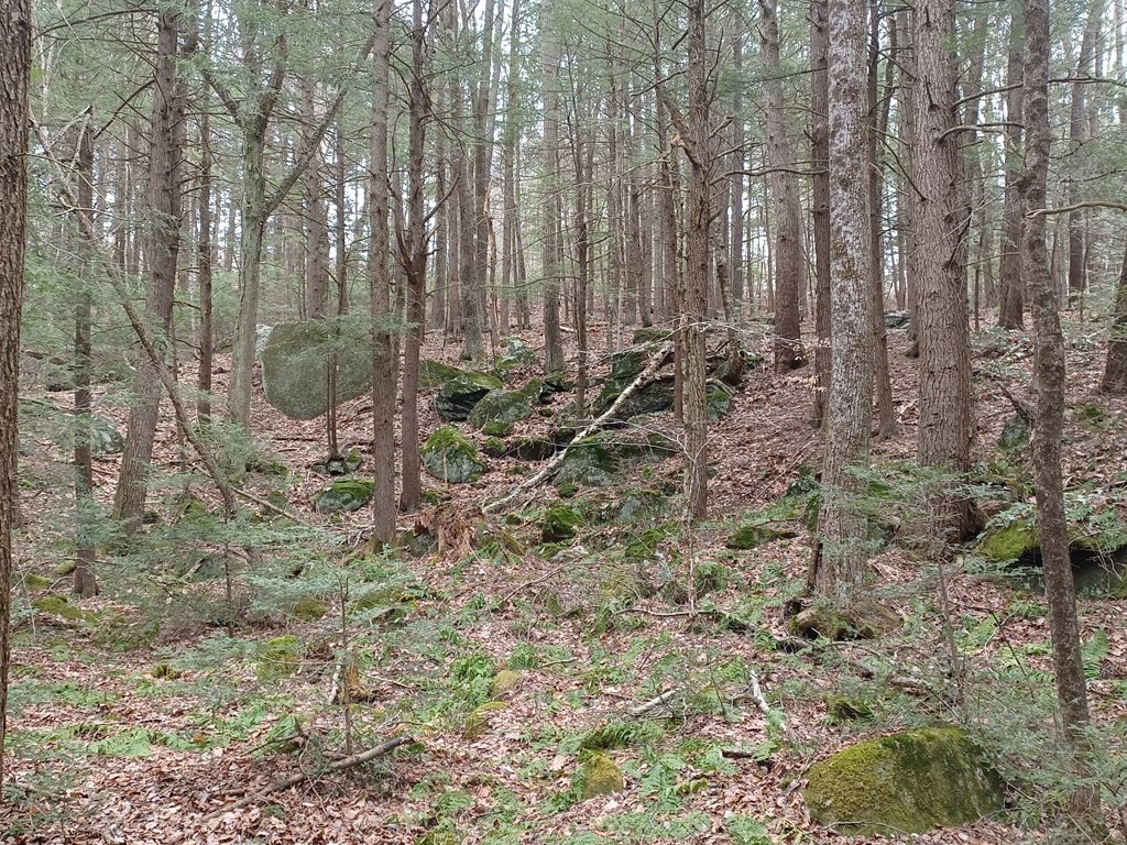 296 Northwest Road, Westhampton, MA 01027 - Image 3