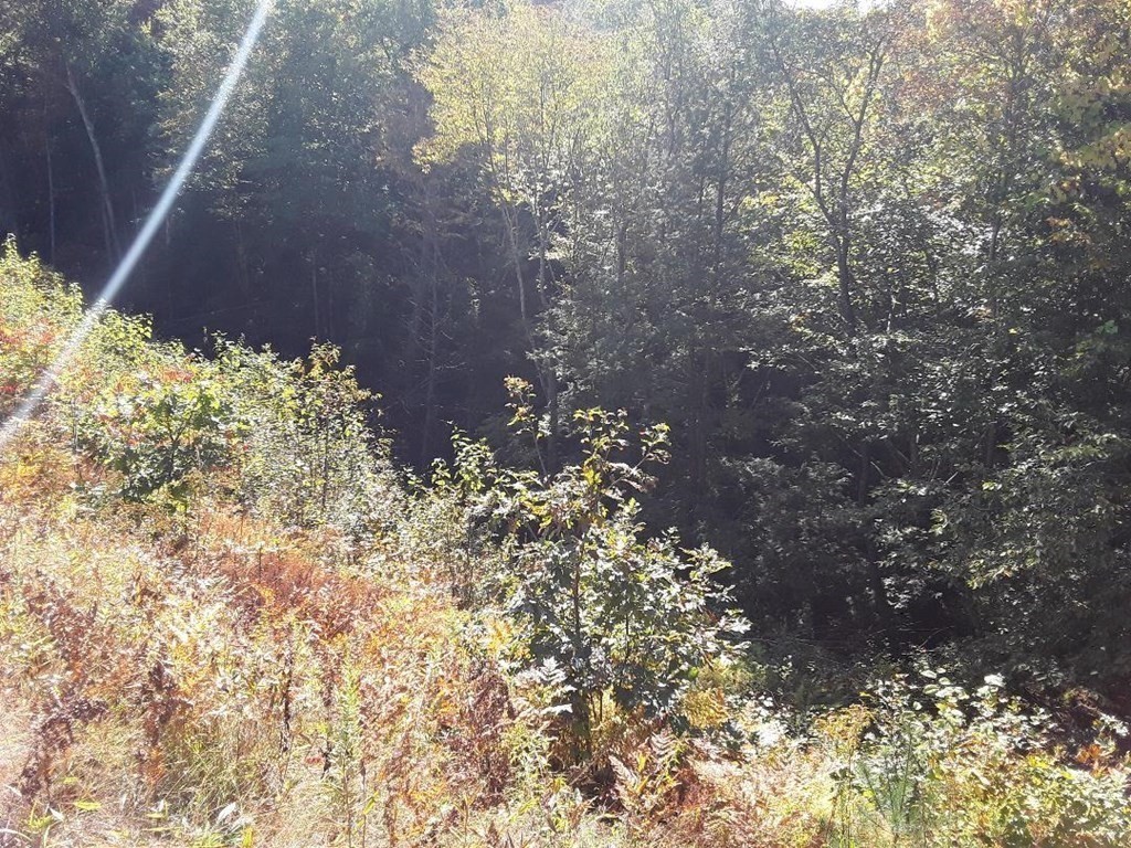 296 Northwest Road, Westhampton, MA 01027 - Image 4