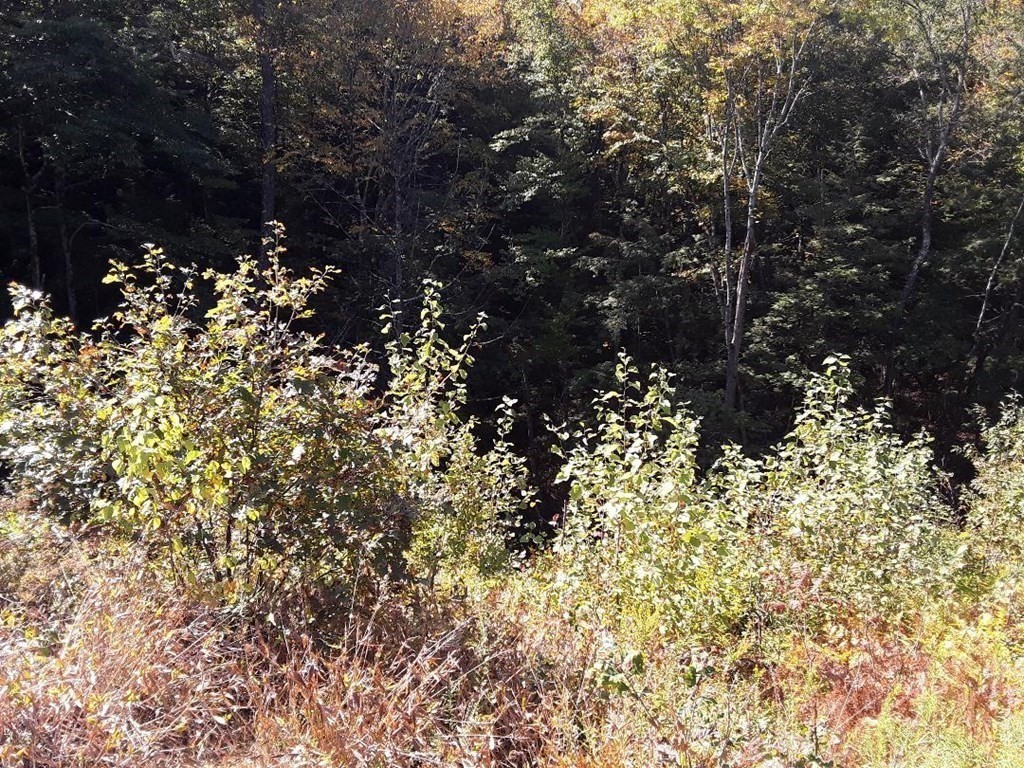 296 Northwest Road, Westhampton, MA 01027 - Image 5