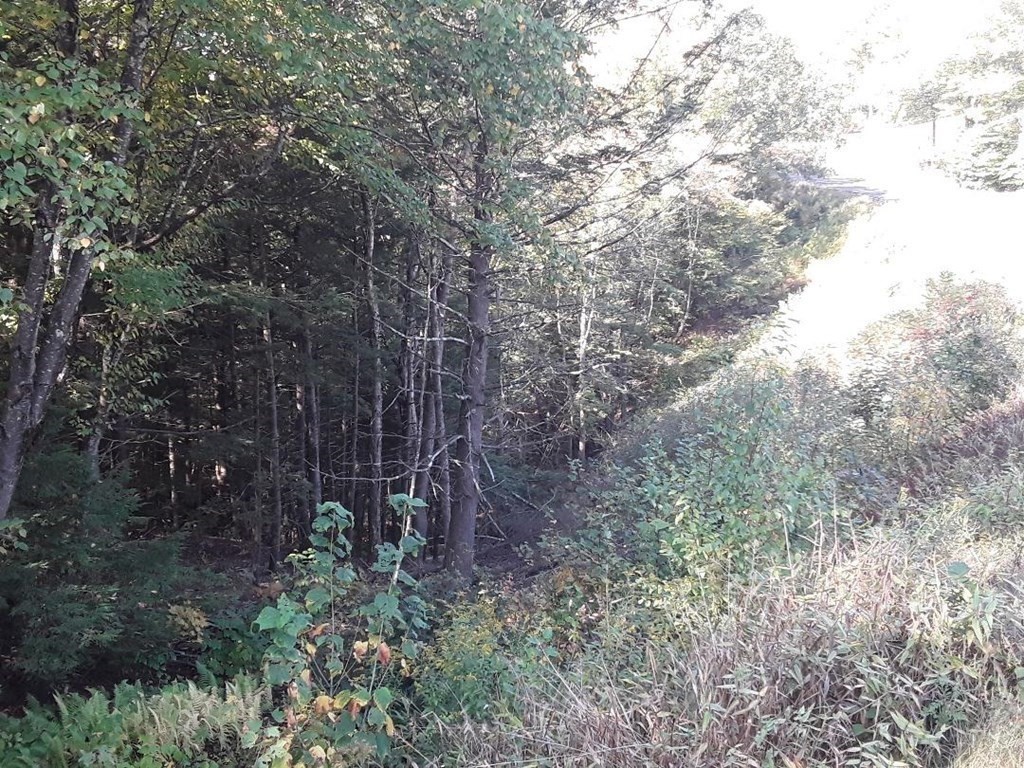 296 Northwest Road, Westhampton, MA 01027 - Image 6