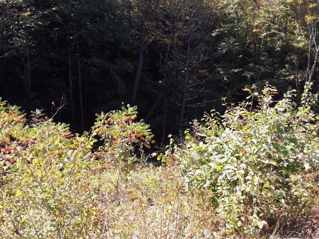 296 Northwest Road, Westhampton, MA 01027 - Image 7