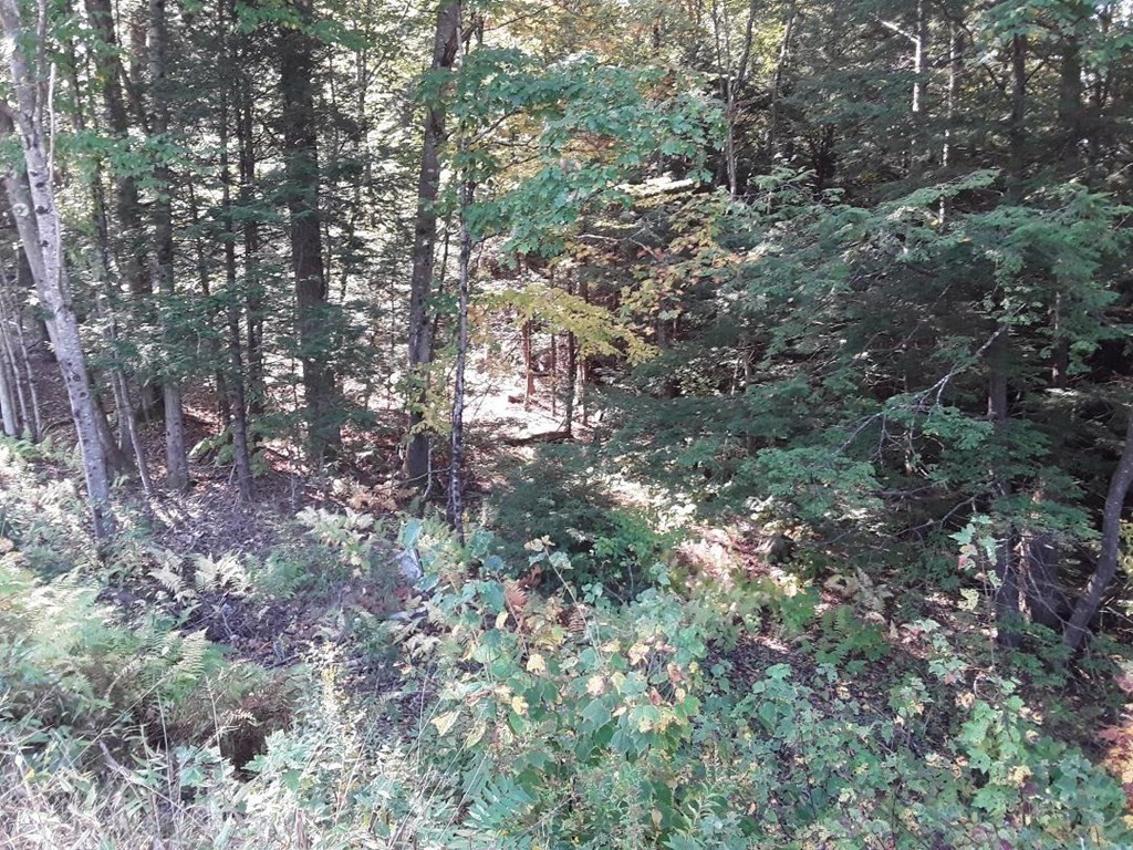 296 Northwest Road, Westhampton, MA 01027 - Image 8