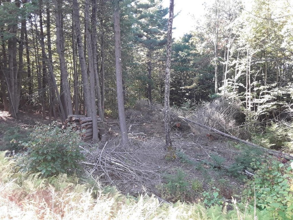 296 Northwest Road, Westhampton, MA 01027 - Image 10