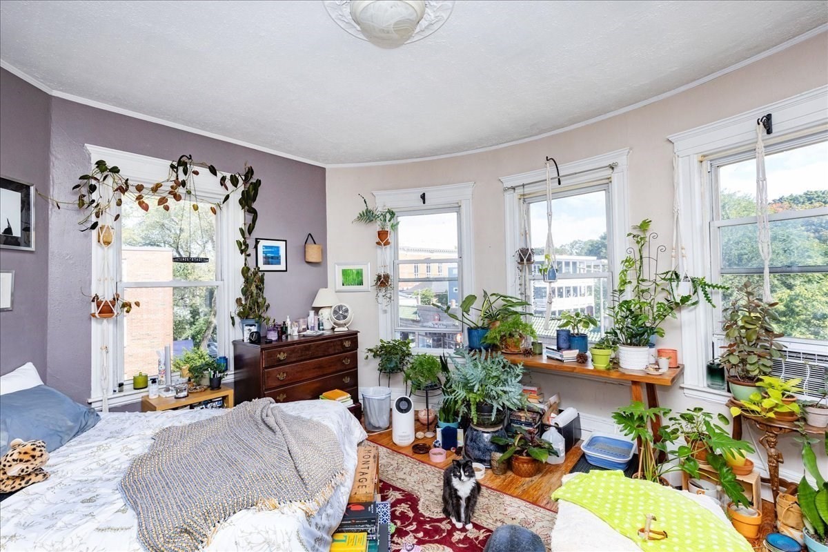 55 South St Unit 3, Jamaica Plain, Boston, MA 02130 - Image 6