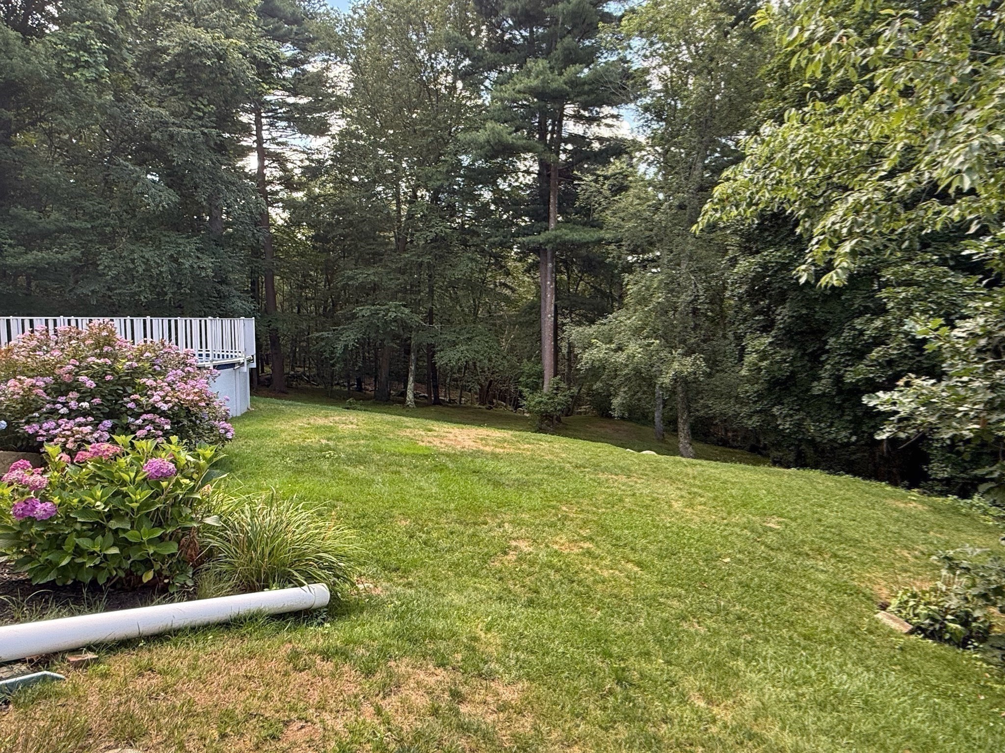 840 Hancock St, Abington, MA 02351 - Image 36