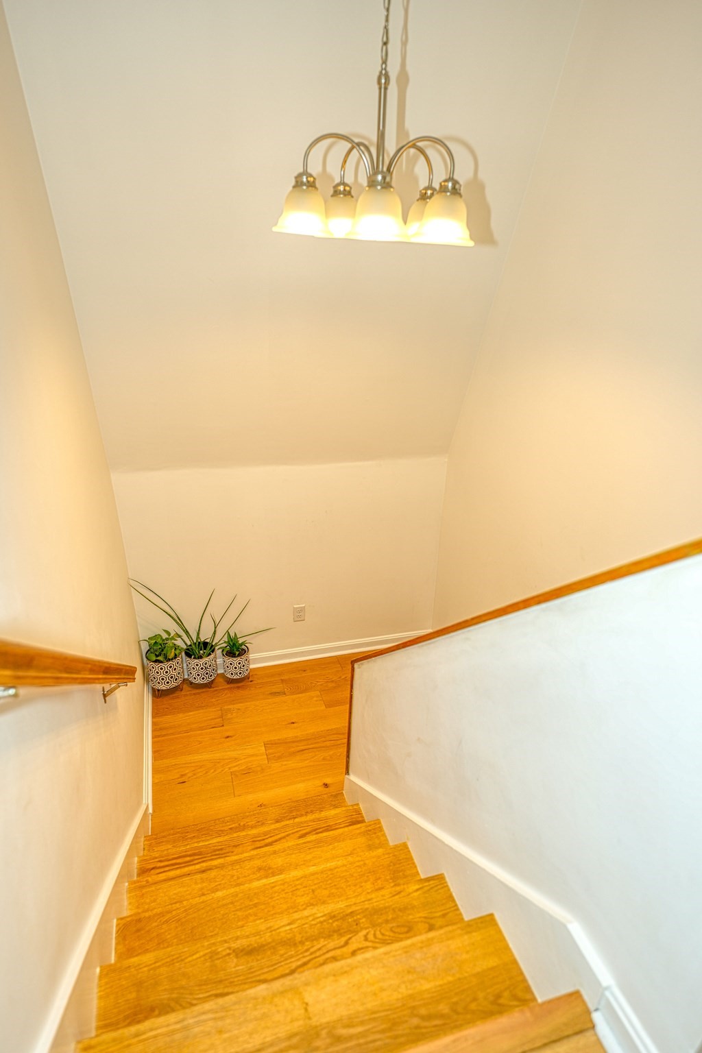 billerica - #73406636