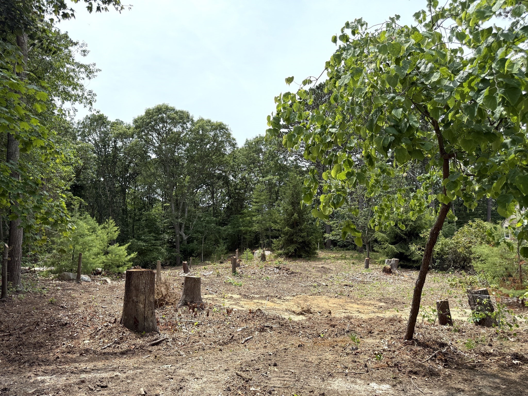 104 Streeter Hill Road, Falmouth, MA 02556 - Image 1