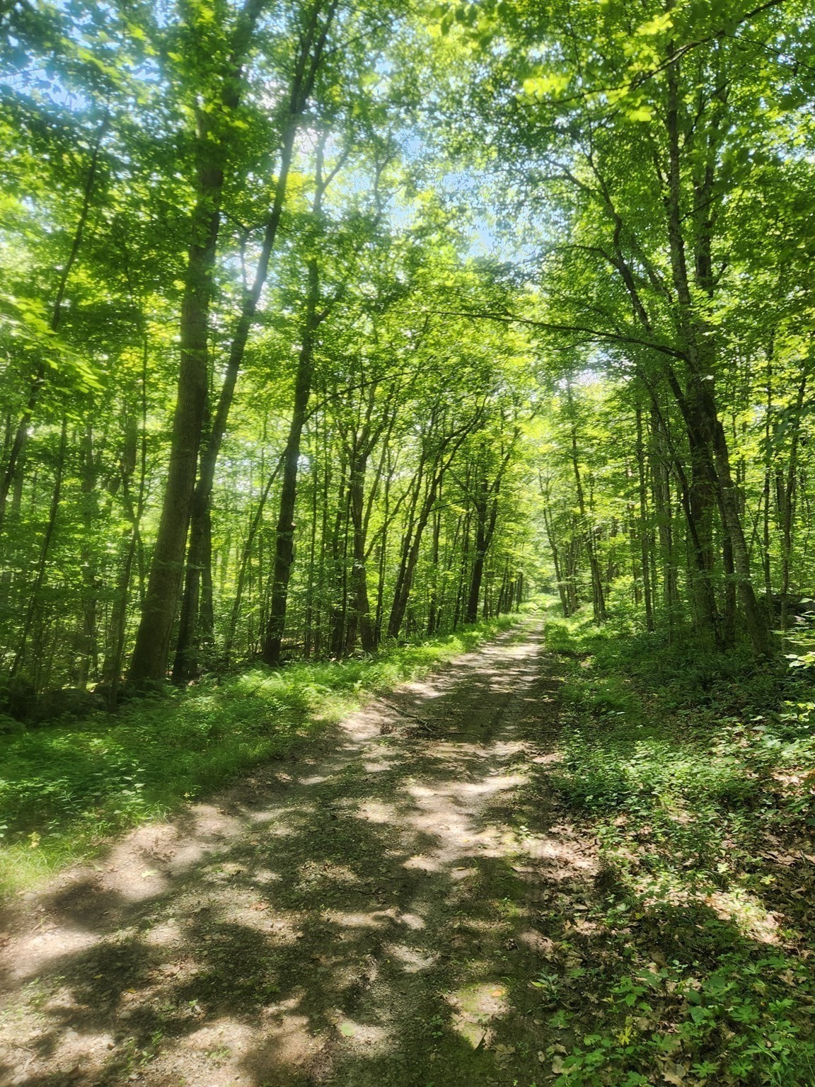 7 Delargy Rd, Hardwick, MA 01037 - Image 16