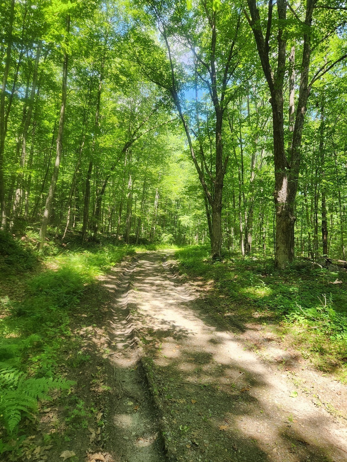 7 Delargy Rd, Hardwick, MA 01037 - Image 17