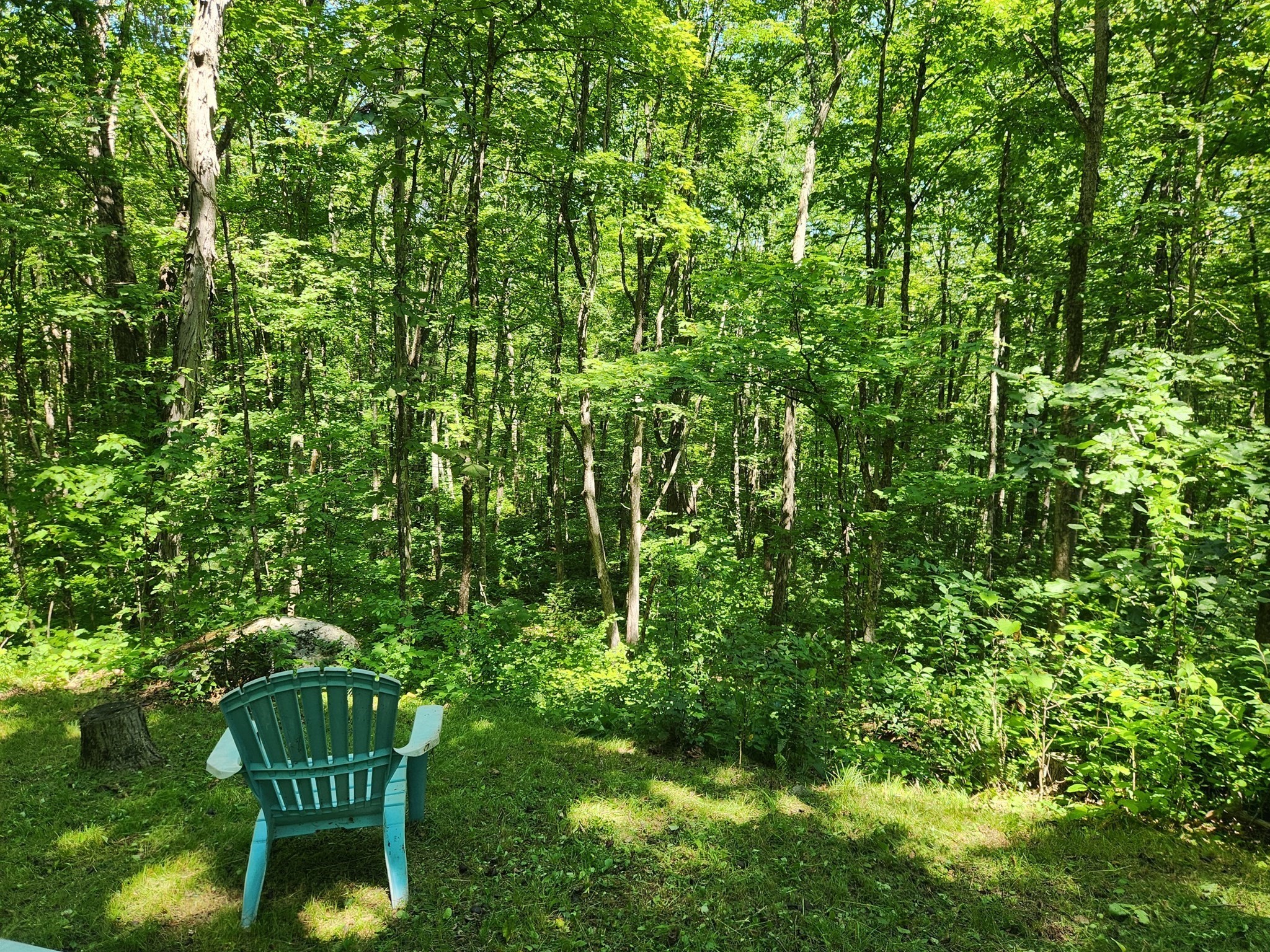 7 Delargy Rd, Hardwick, MA 01037 - Image 19