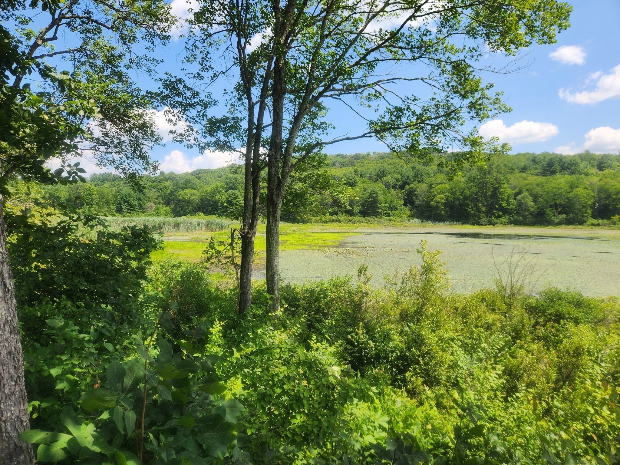 7 Delargy Rd, Hardwick, MA 01037 - Image 21