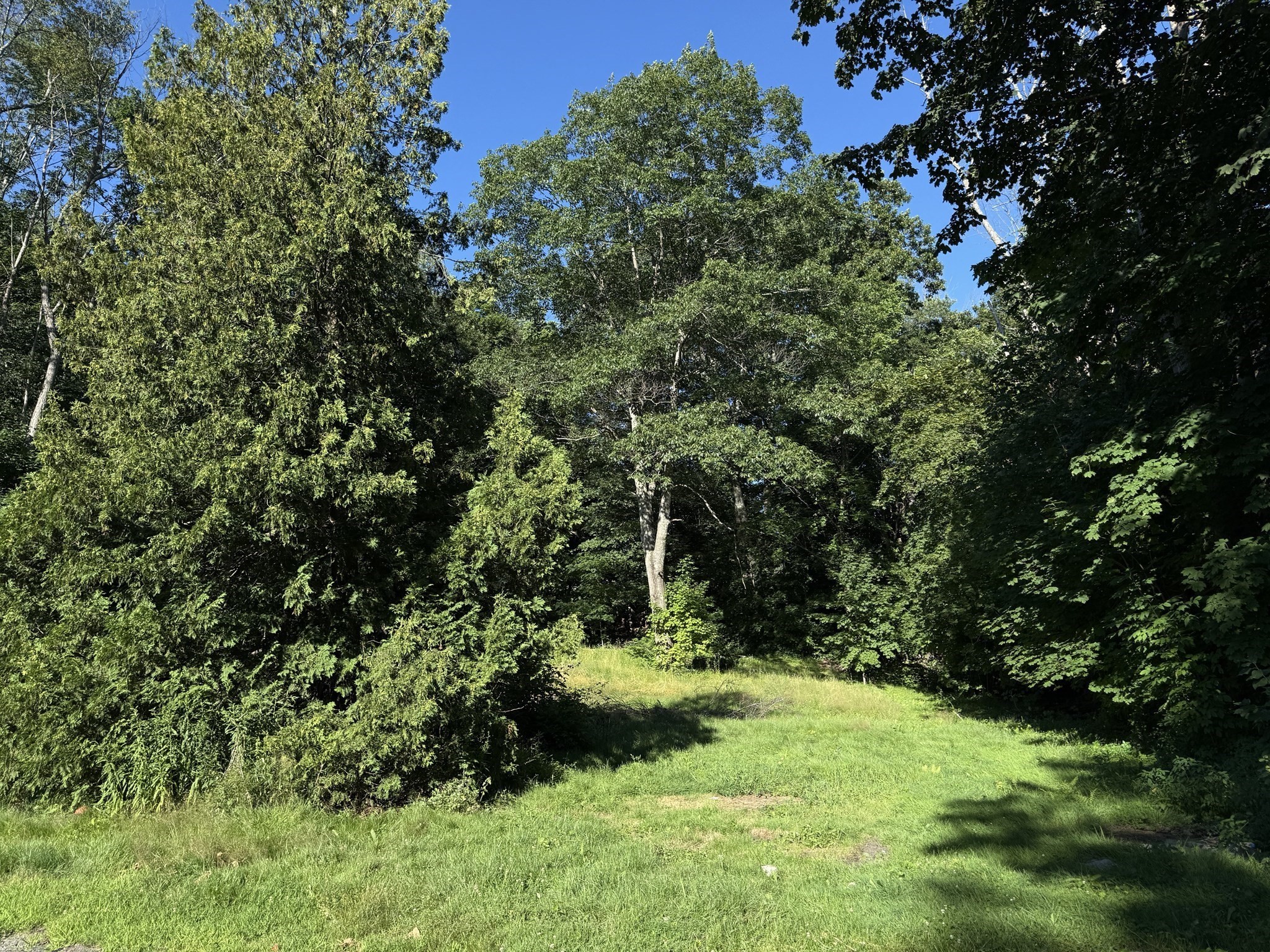 athol - #73407549