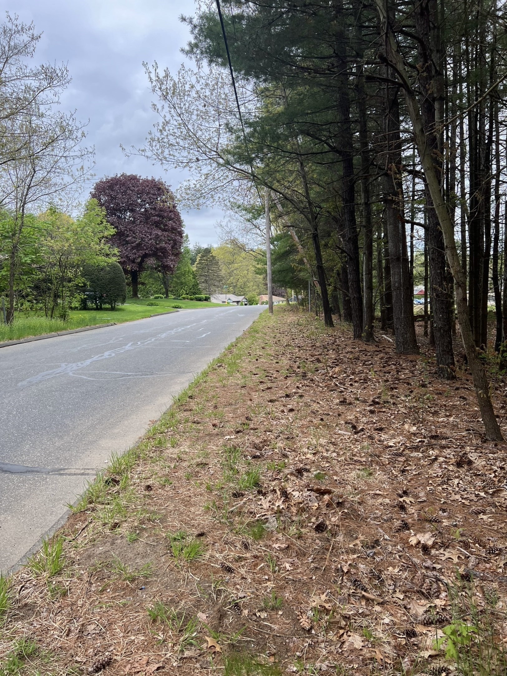 62 Lawrence Street, Palmer, MA 01069 - Image 1