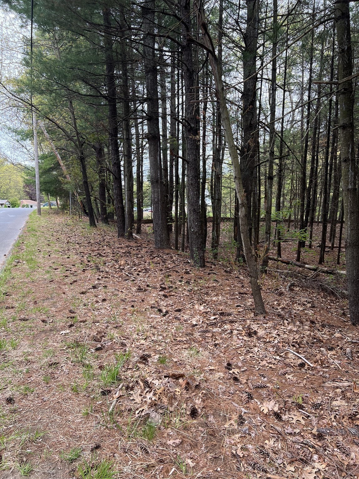 62 Lawrence Street, Palmer, MA 01069 - Image 2