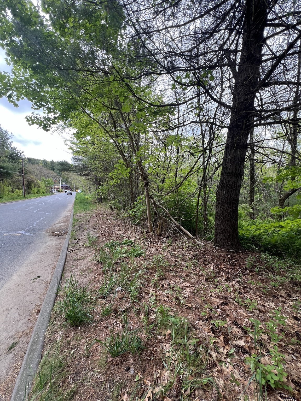 39 Lawrence, Palmer, MA 01069 - Image 1