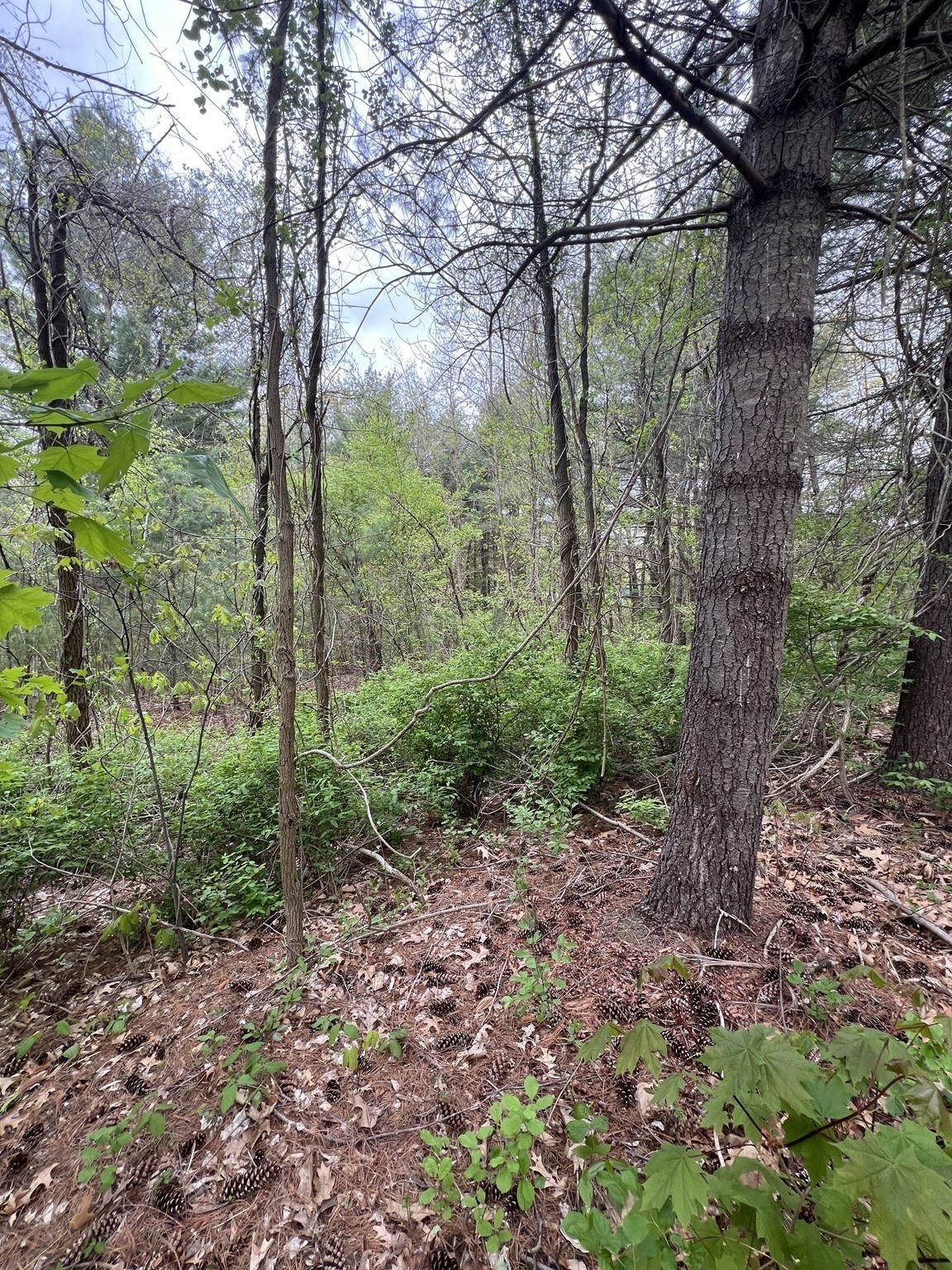 39 Lawrence, Palmer, MA 01069 - Image 4