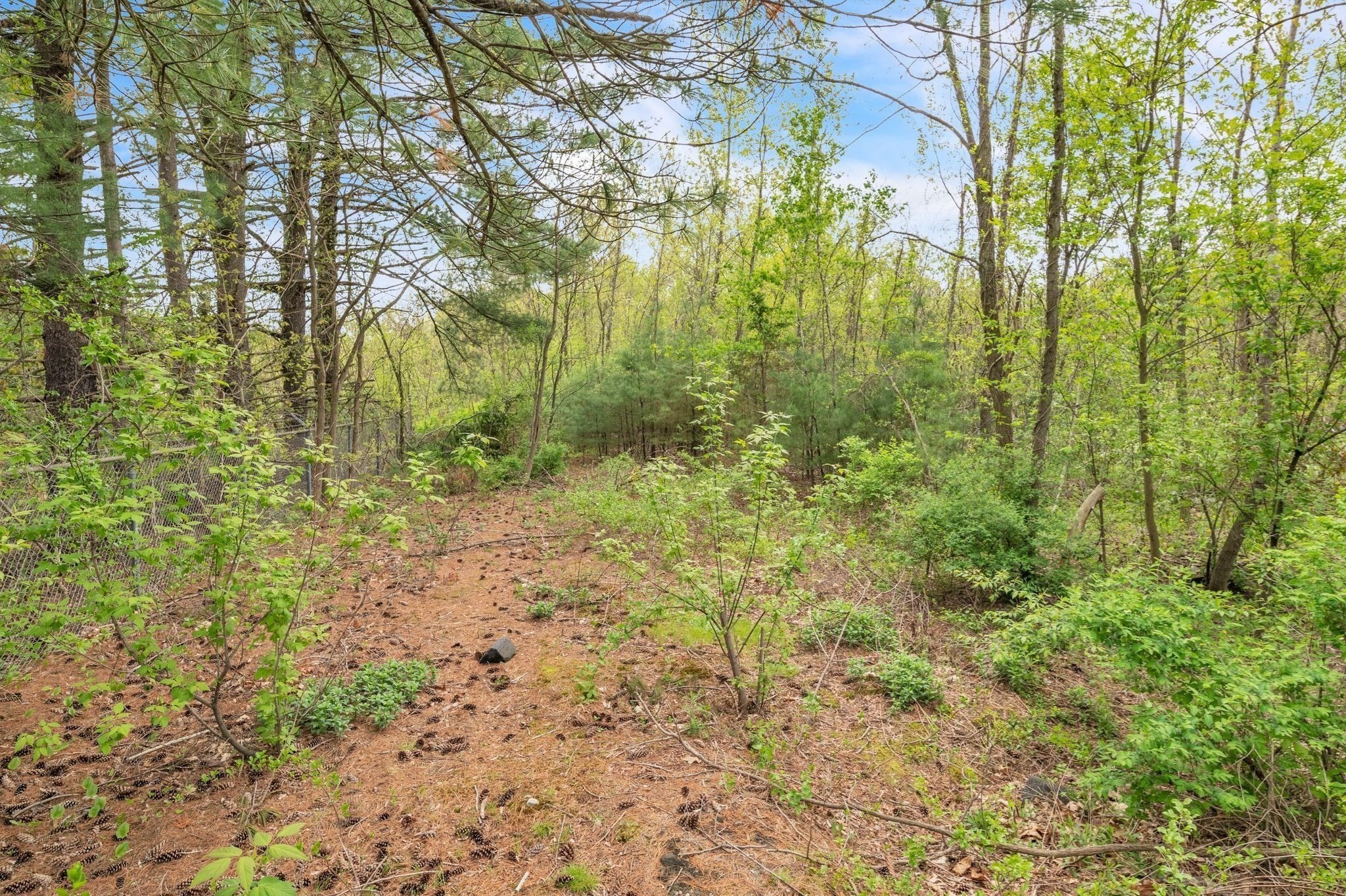 0 Thorndike And Lawrence Street, Palmer, MA 01069 - Image 14