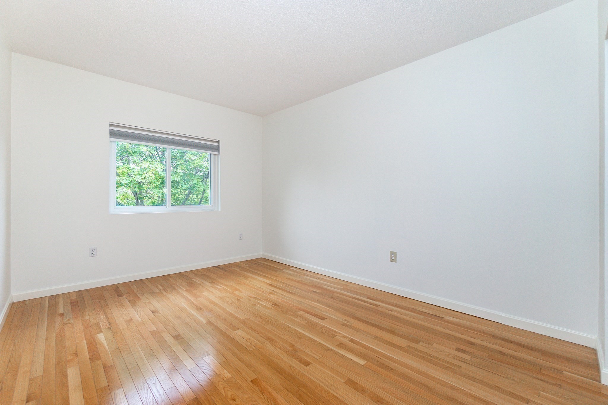 medford - #73408218