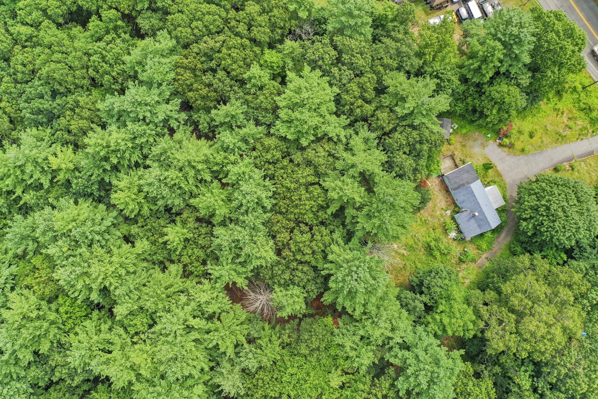 266 Pleasant St, Franklin, MA 02038 - Image 5