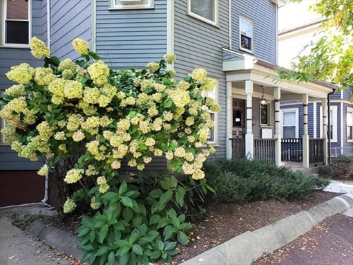 456 Medford St, Apt 3