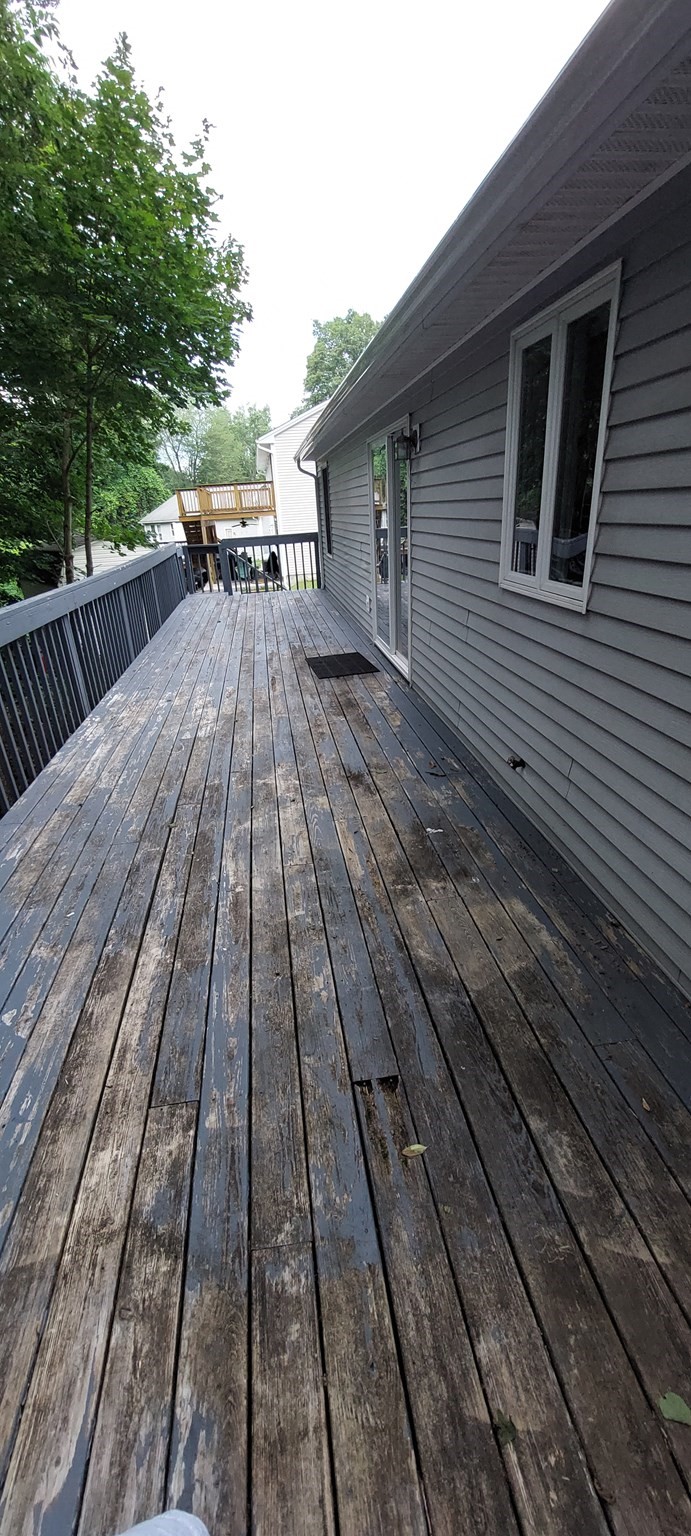 south-hadley - #73409645