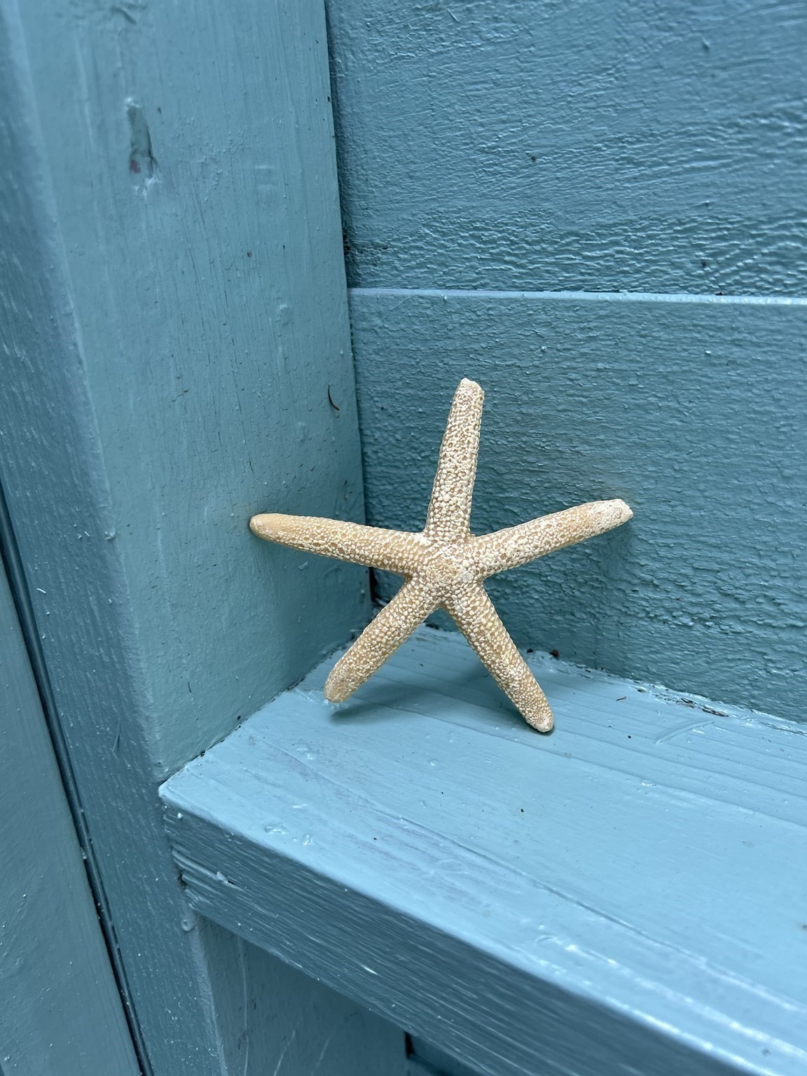 262 Old Wharf Rd Unit 67, Dennis, MA 02639 - Image 31