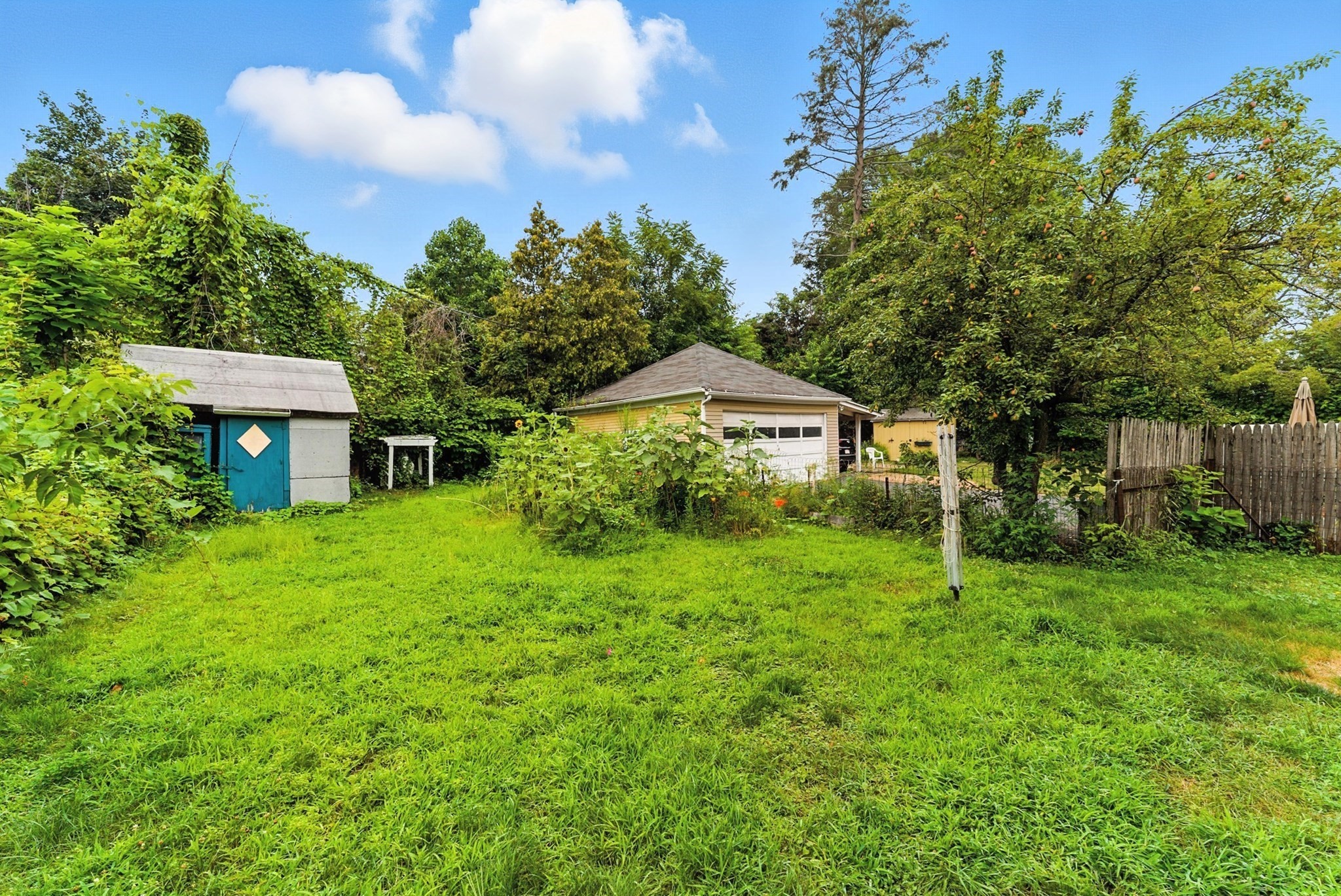 chicopee - #73410219