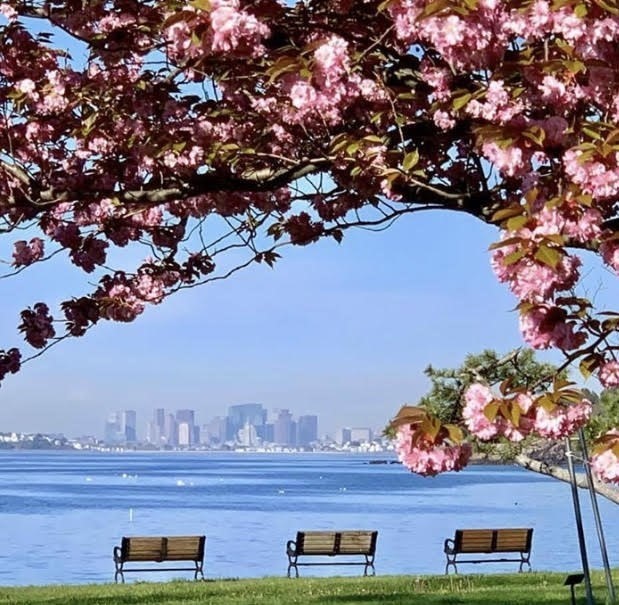 nahant - #73410380