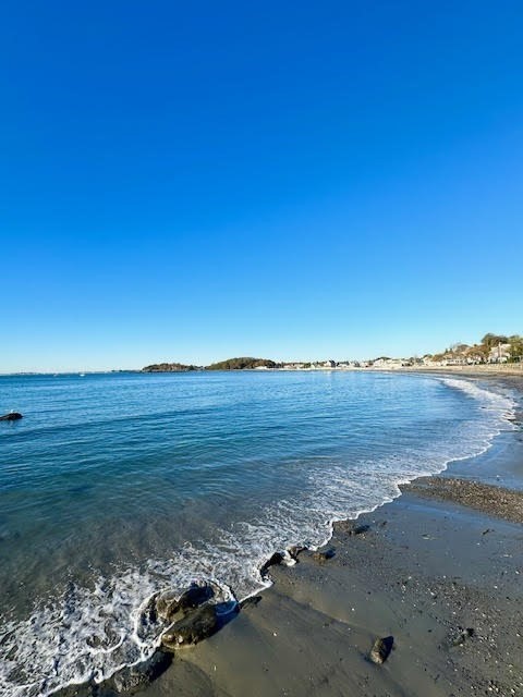 nahant - #73410380