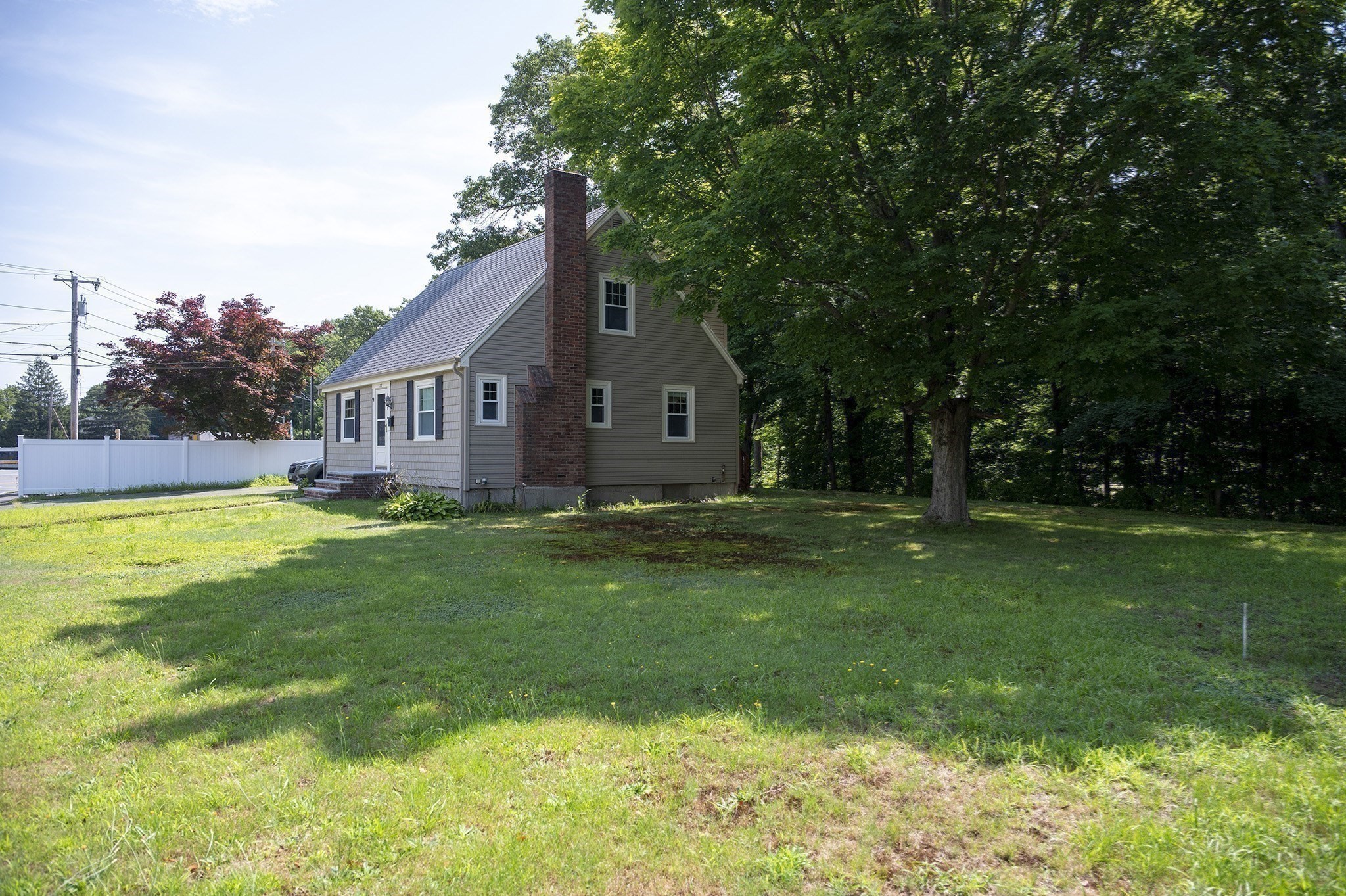 randolph - #73410481