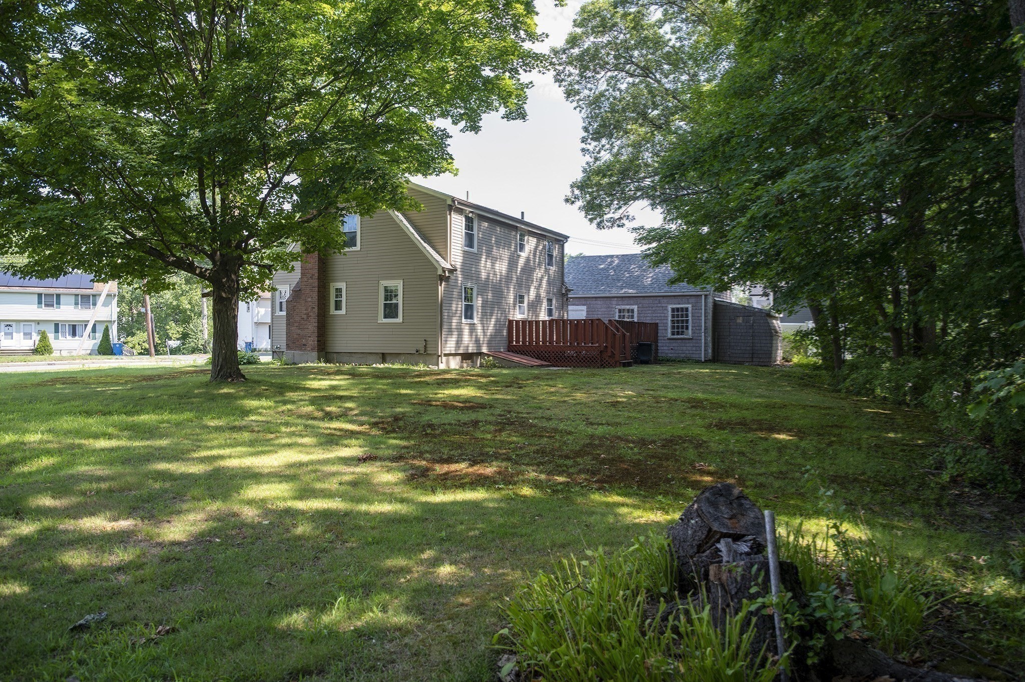 randolph - #73410481
