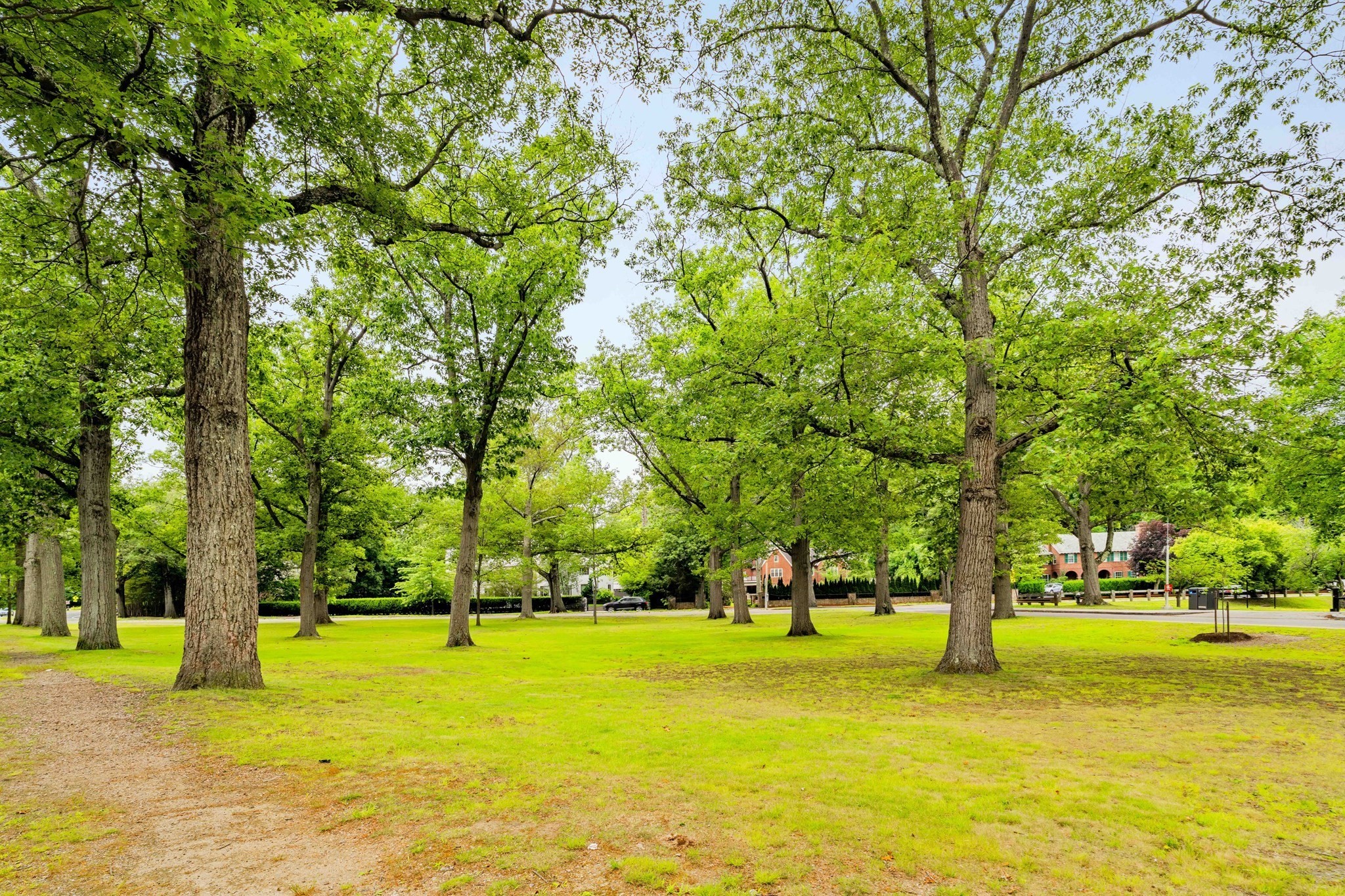 brookline - #73410677