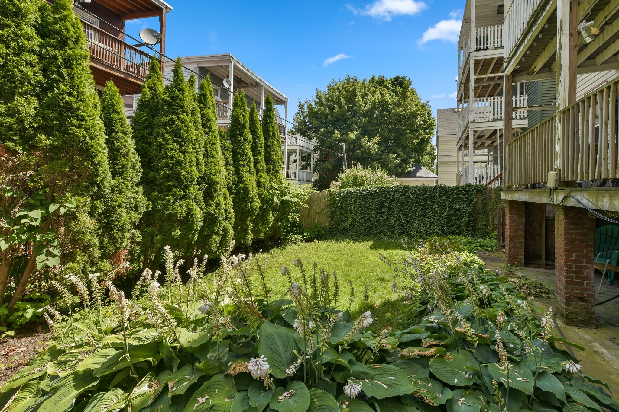 dorchester - #73410709