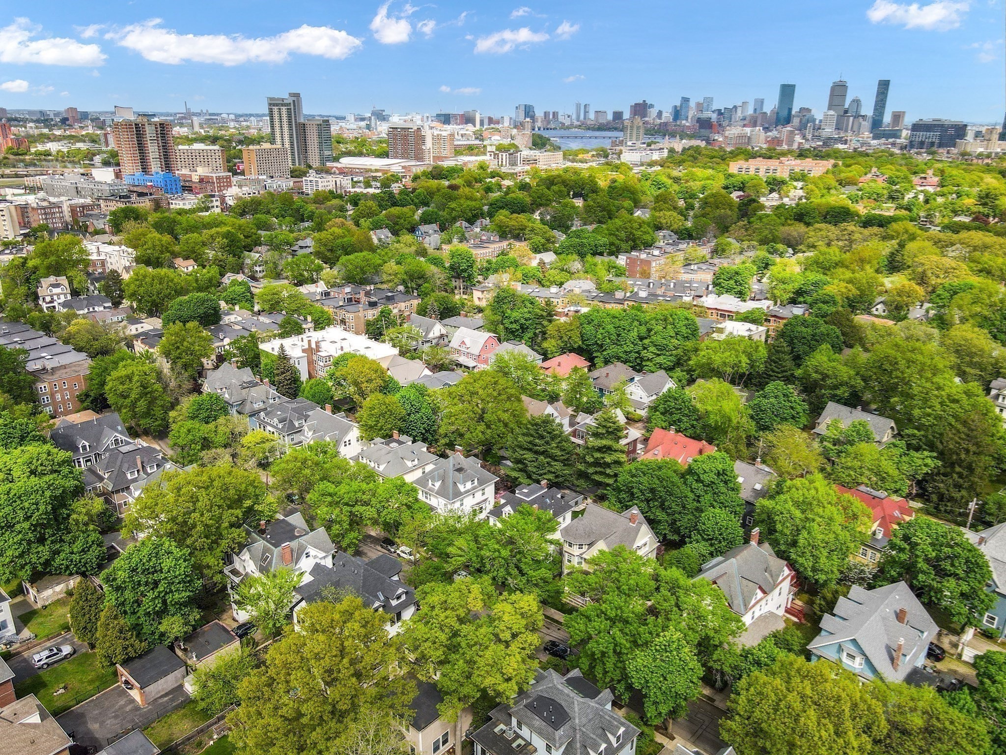 116 Thorndike Street Unit 1, Brookline, MA 02446 - Image 12