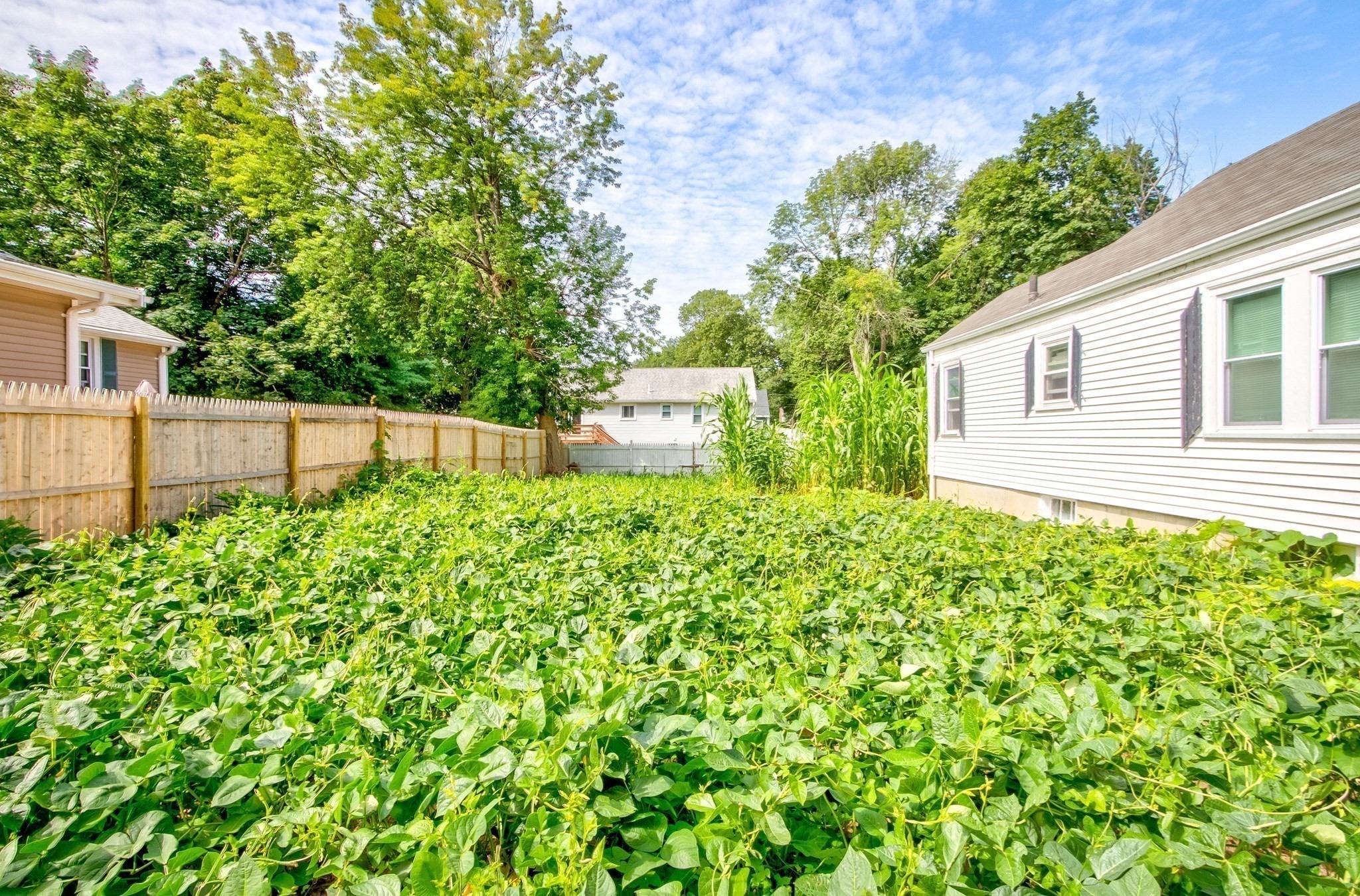 brockton - #73410923
