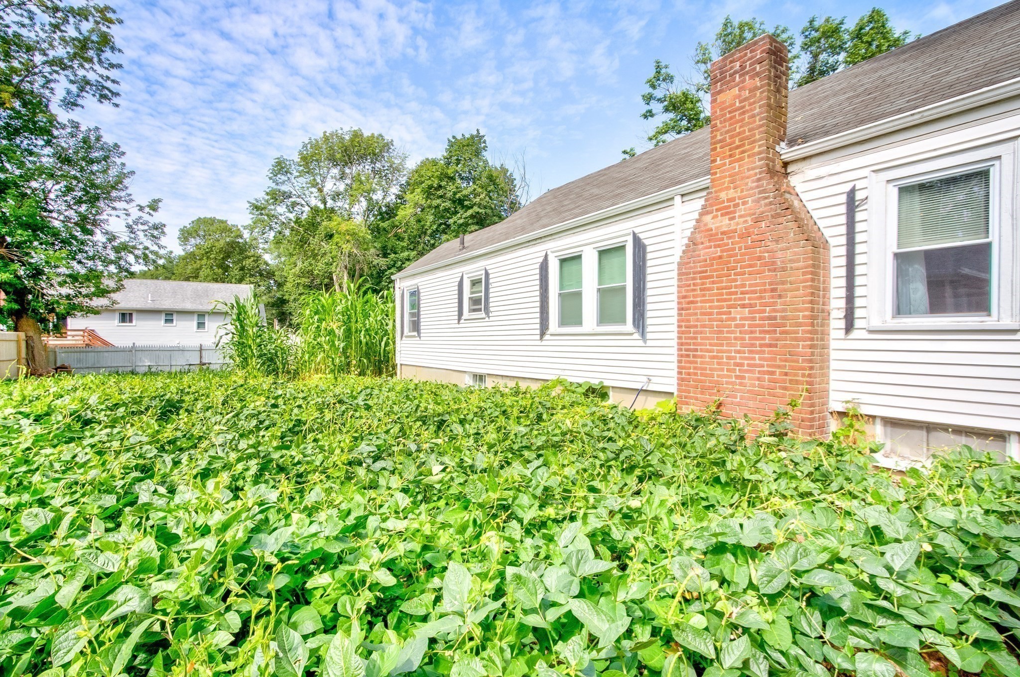 brockton - #73410923