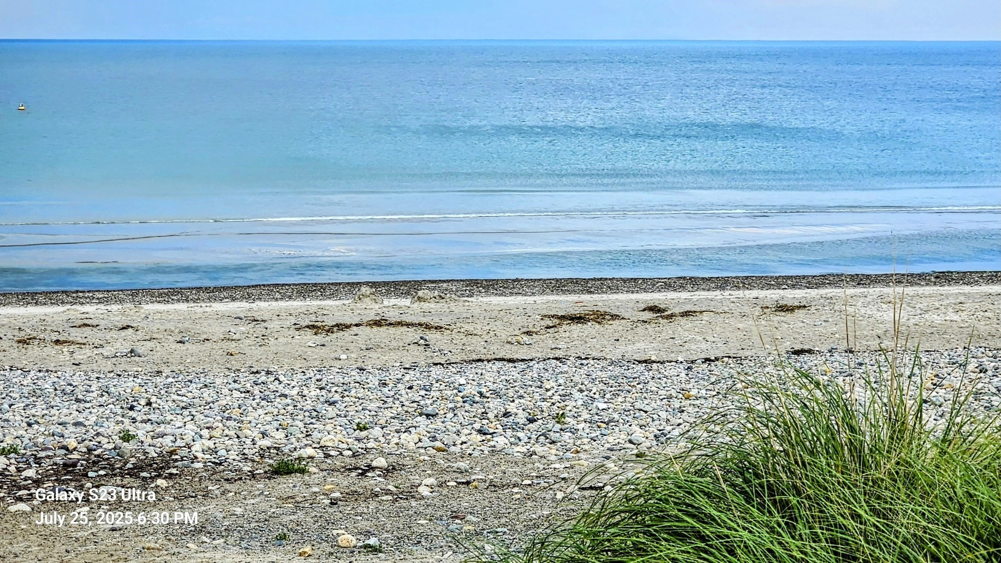 marshfield - #73410969
