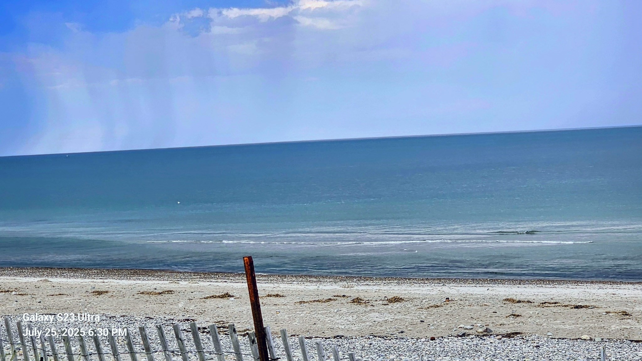 marshfield - #73410969