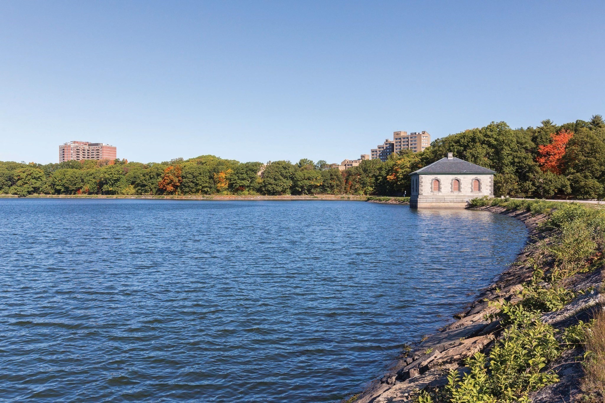 88 Strathmore Unit 7, Boston College, Boston, MA 02135 - Image 25