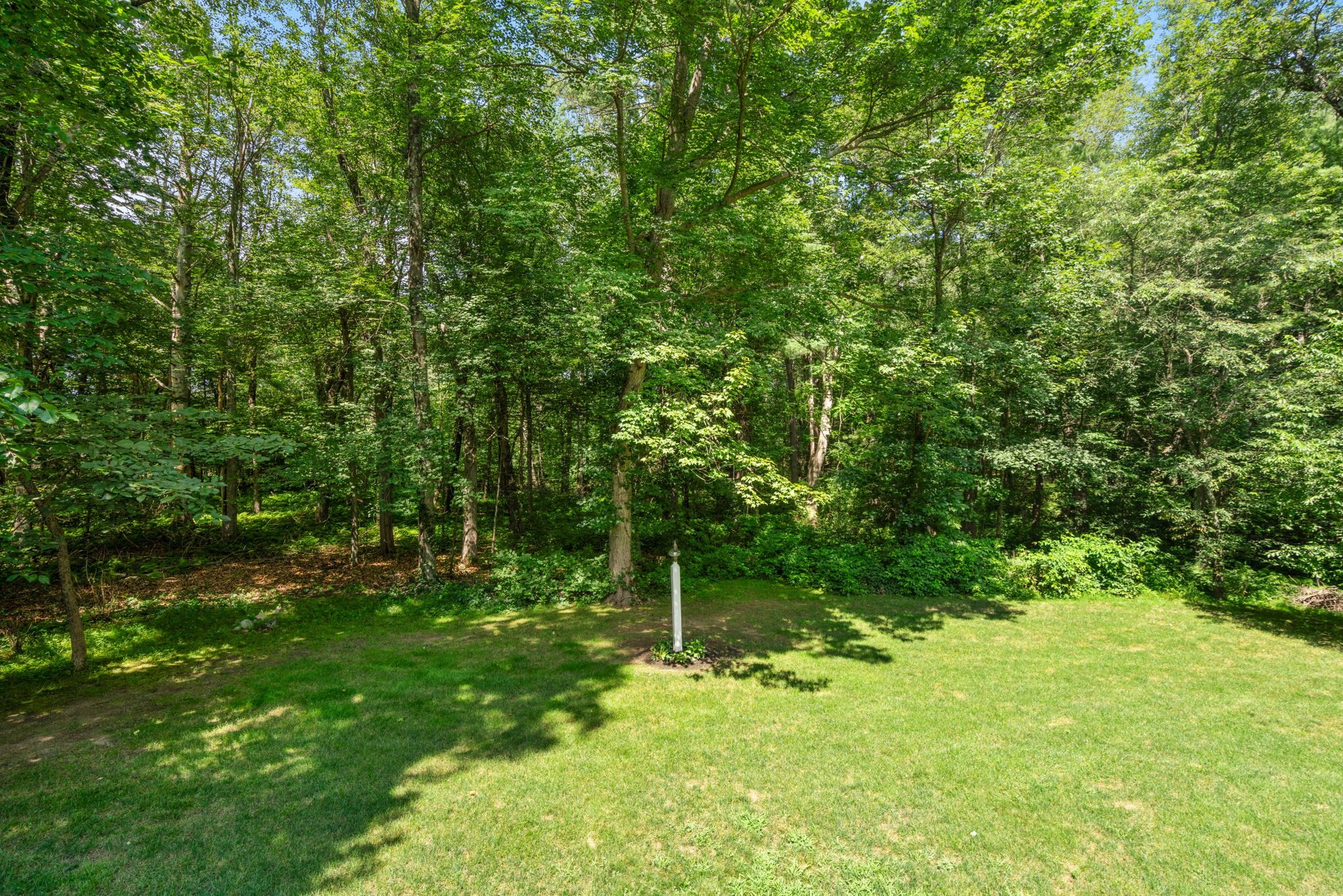 millis - #73411106